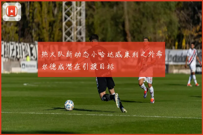 热火队新动态小哈达威康利之外希尔德成潜在引援目标
