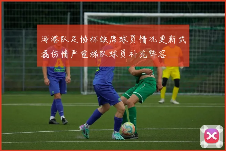 海港队足协杯缺席球员情况更新武磊伤情严重梯队球员补充阵容